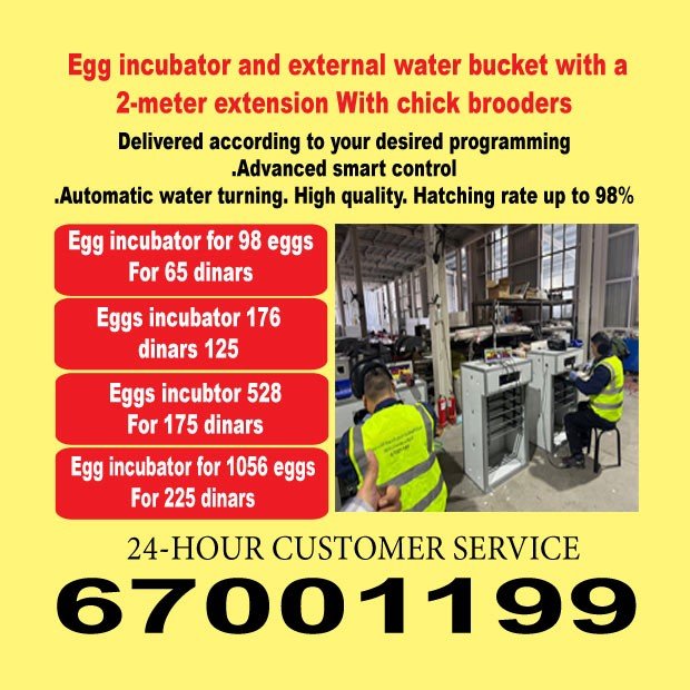 الوطنية للدواجن0