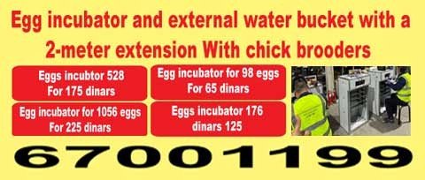 الوطنية للدواجن