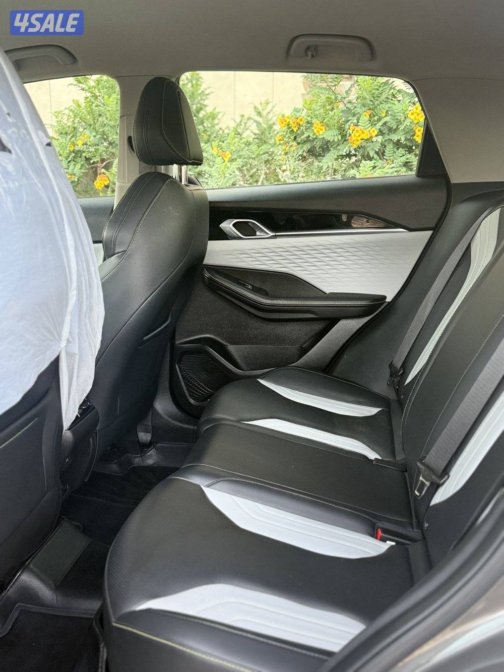 جيلي - كولراي - 20248