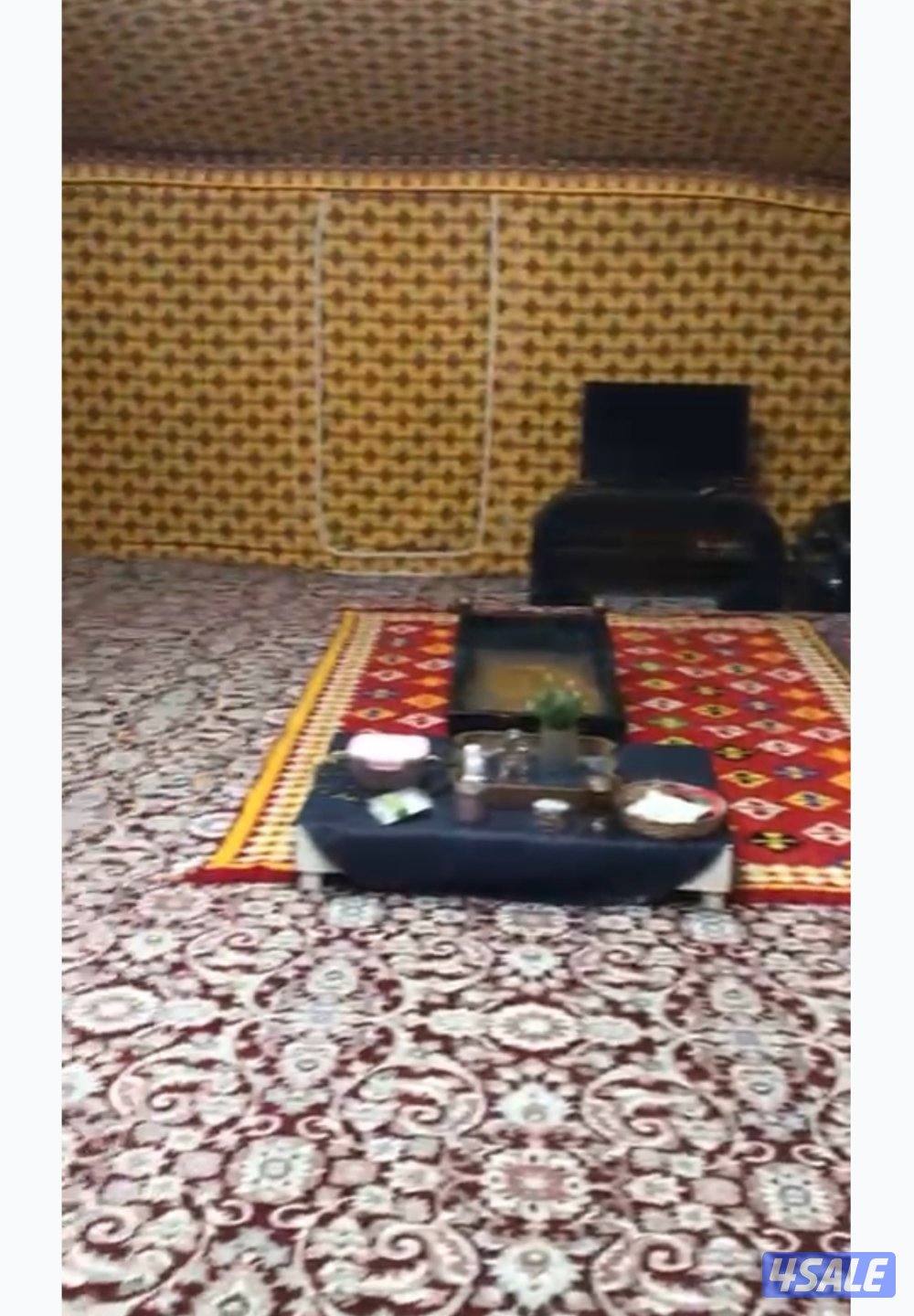 خيمة صباحية0