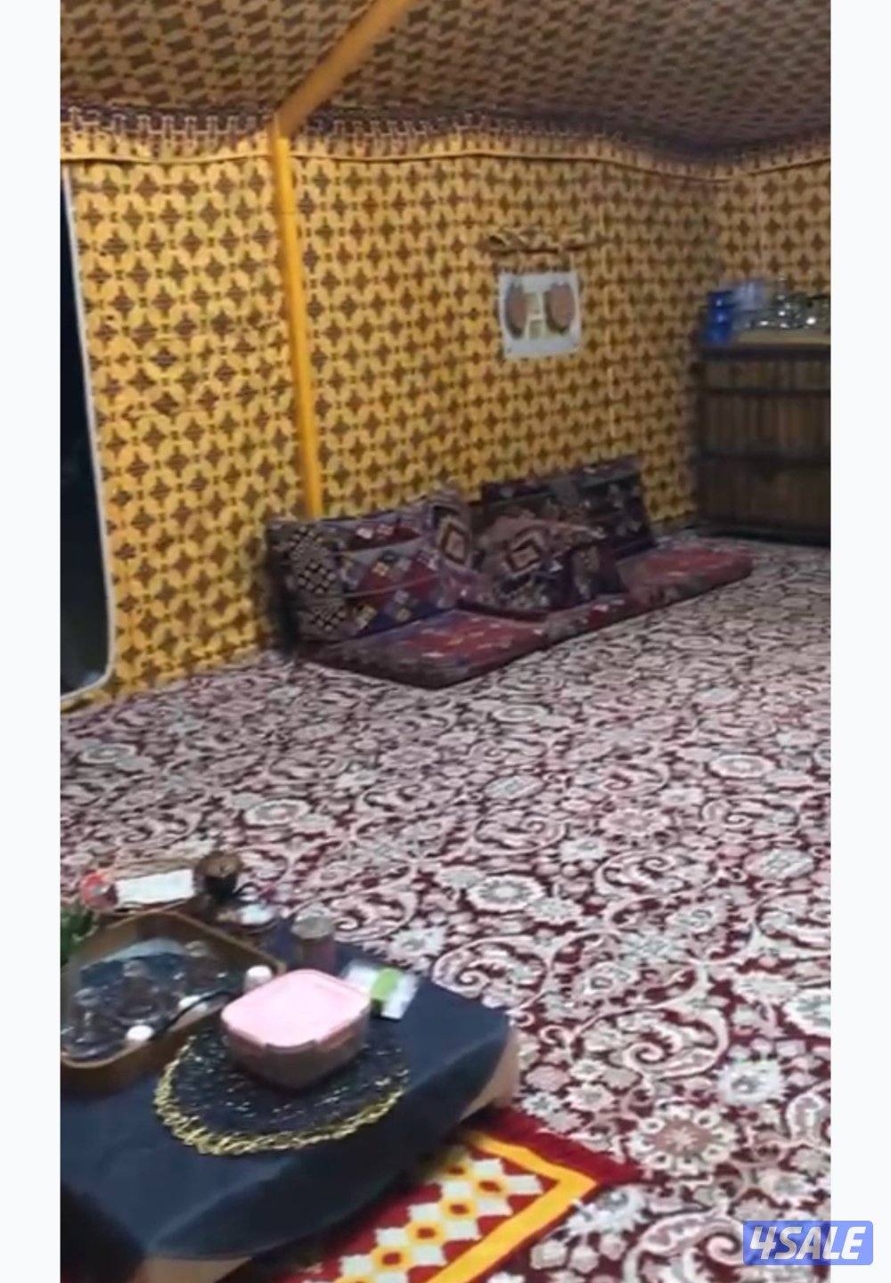 خيمة صباحية1