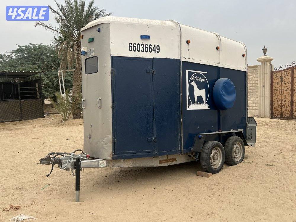 تاجير عربانه يومي سيفني انجليزي + رودس2