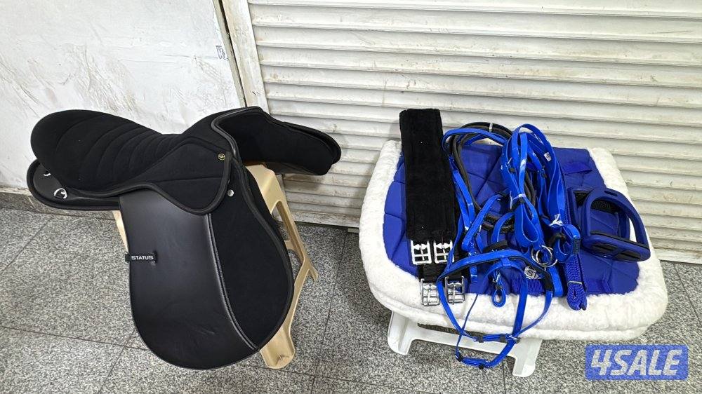 New Status saddle 17.5 inch ( saddle,saddle pad,Bridle ( full set3