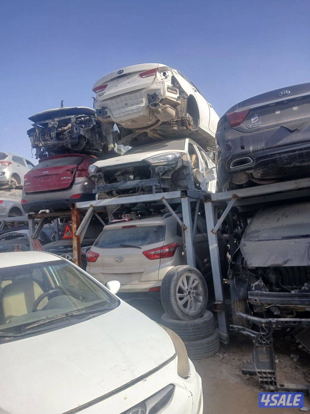 نشترى جميع أنواع السيارات الكوريه والسكراب1