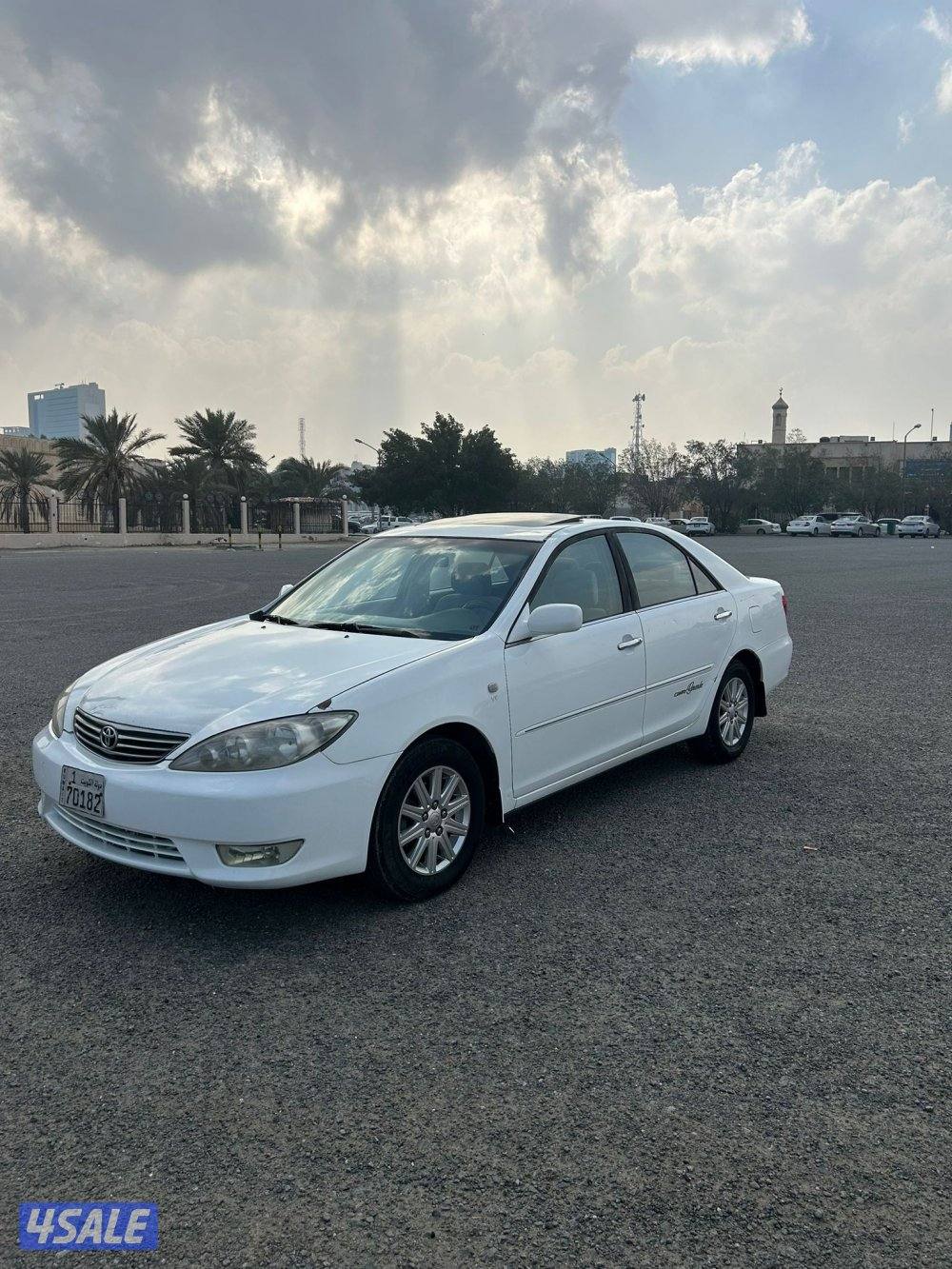 صبغ الوكالة0