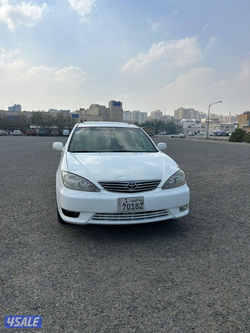 صبغ الوكالة1