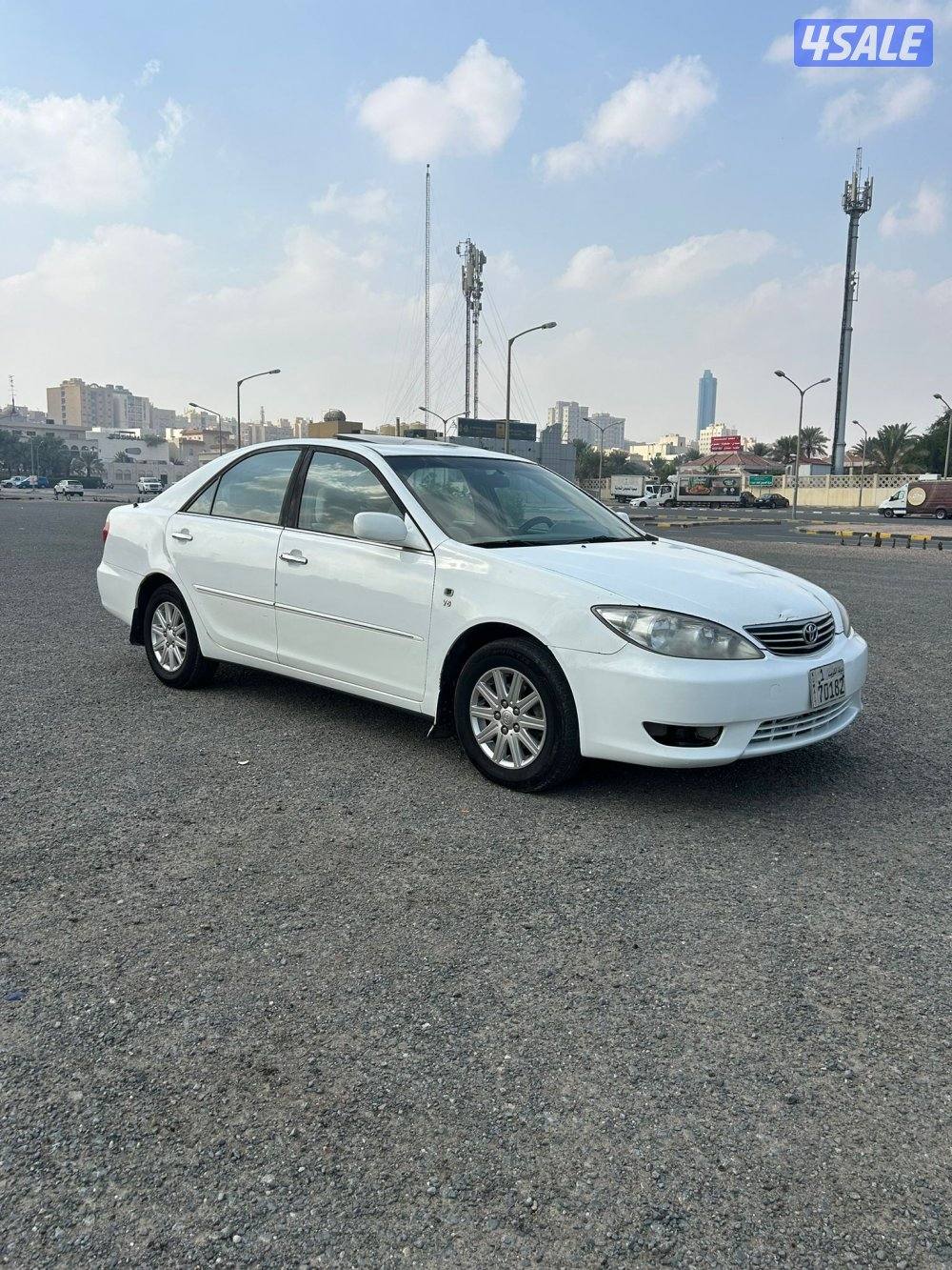 صبغ الوكالة2