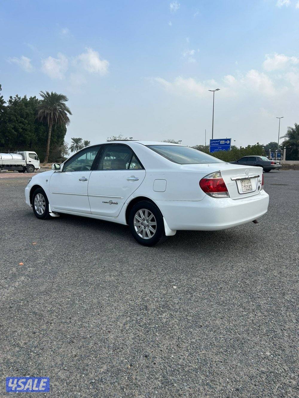 صبغ الوكالة3