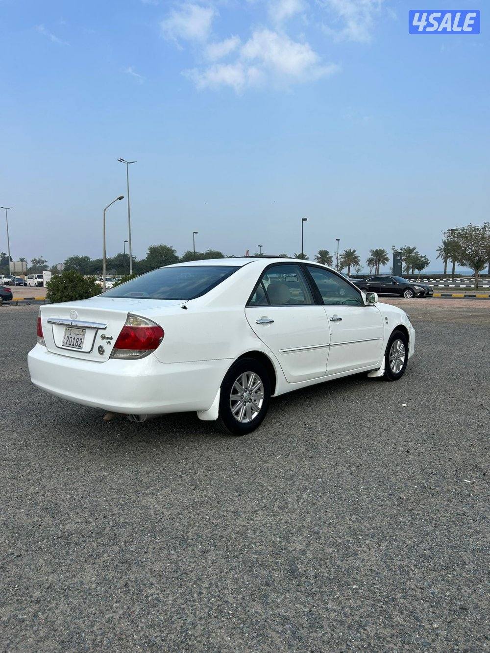 صبغ الوكالة4