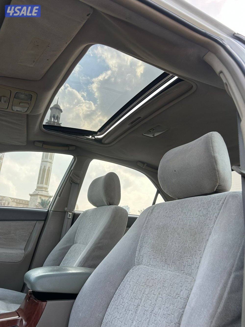 صبغ الوكالة6