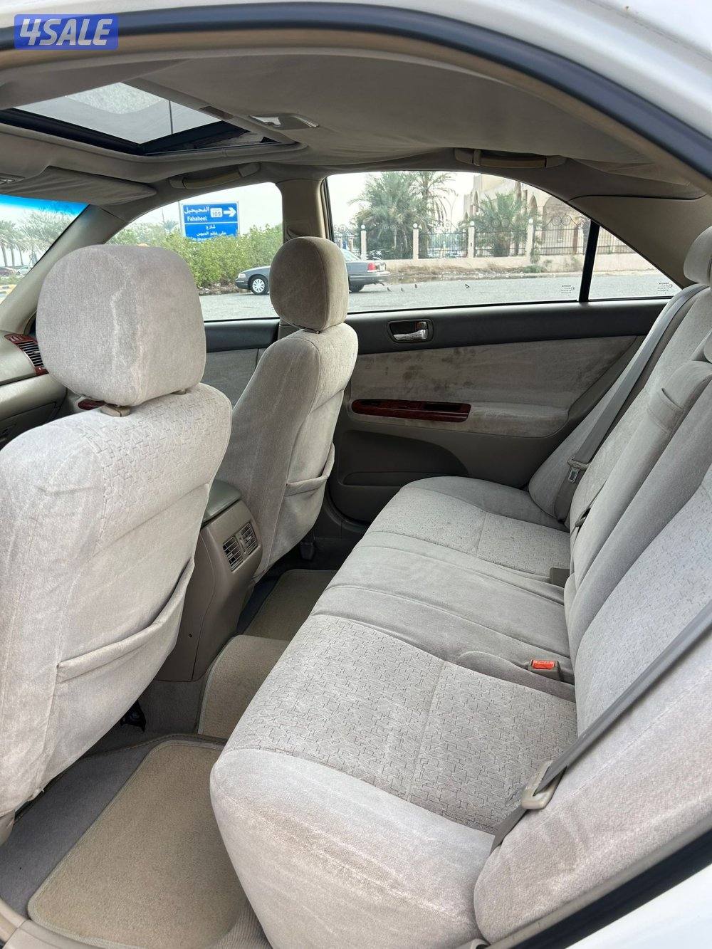 صبغ الوكالة8