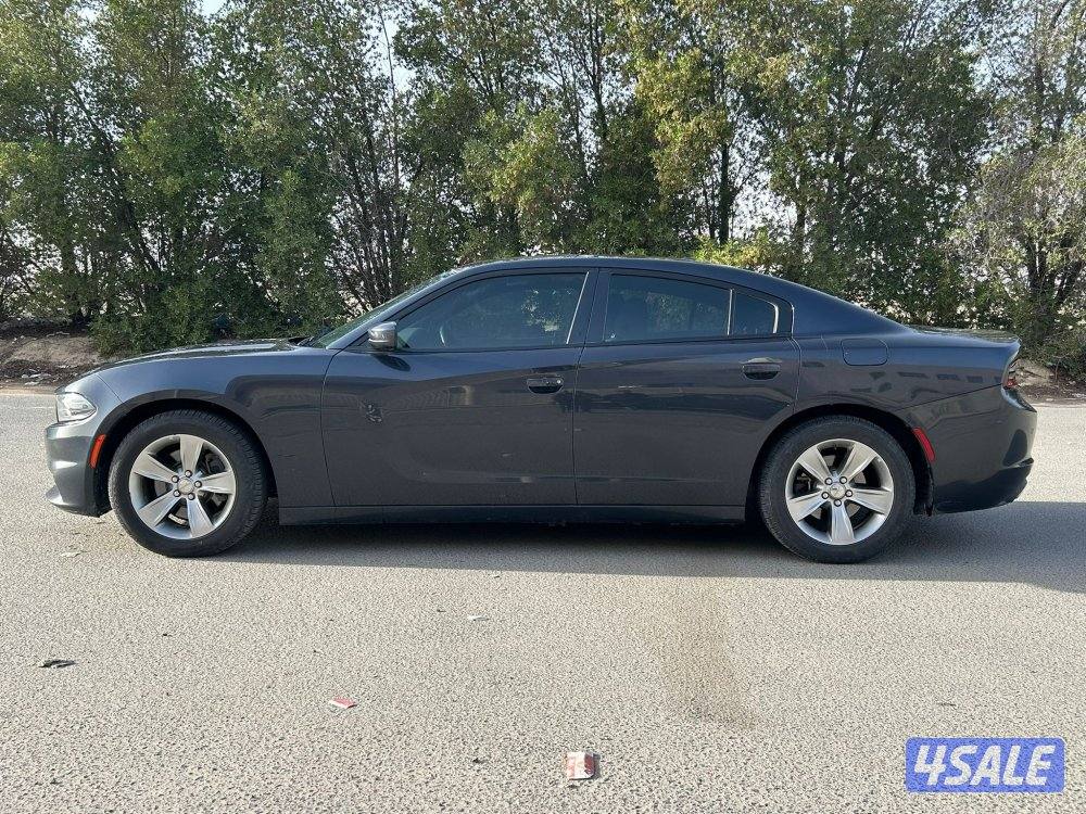 شارجر صبغ الوكاله 20196