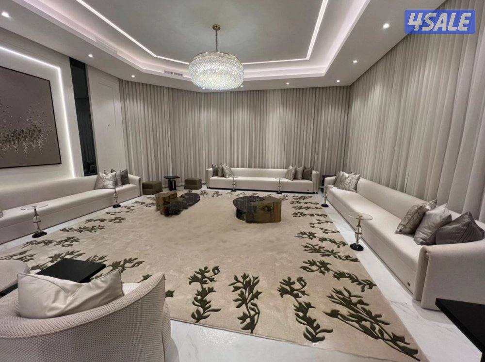 ديوانيات رسمية3