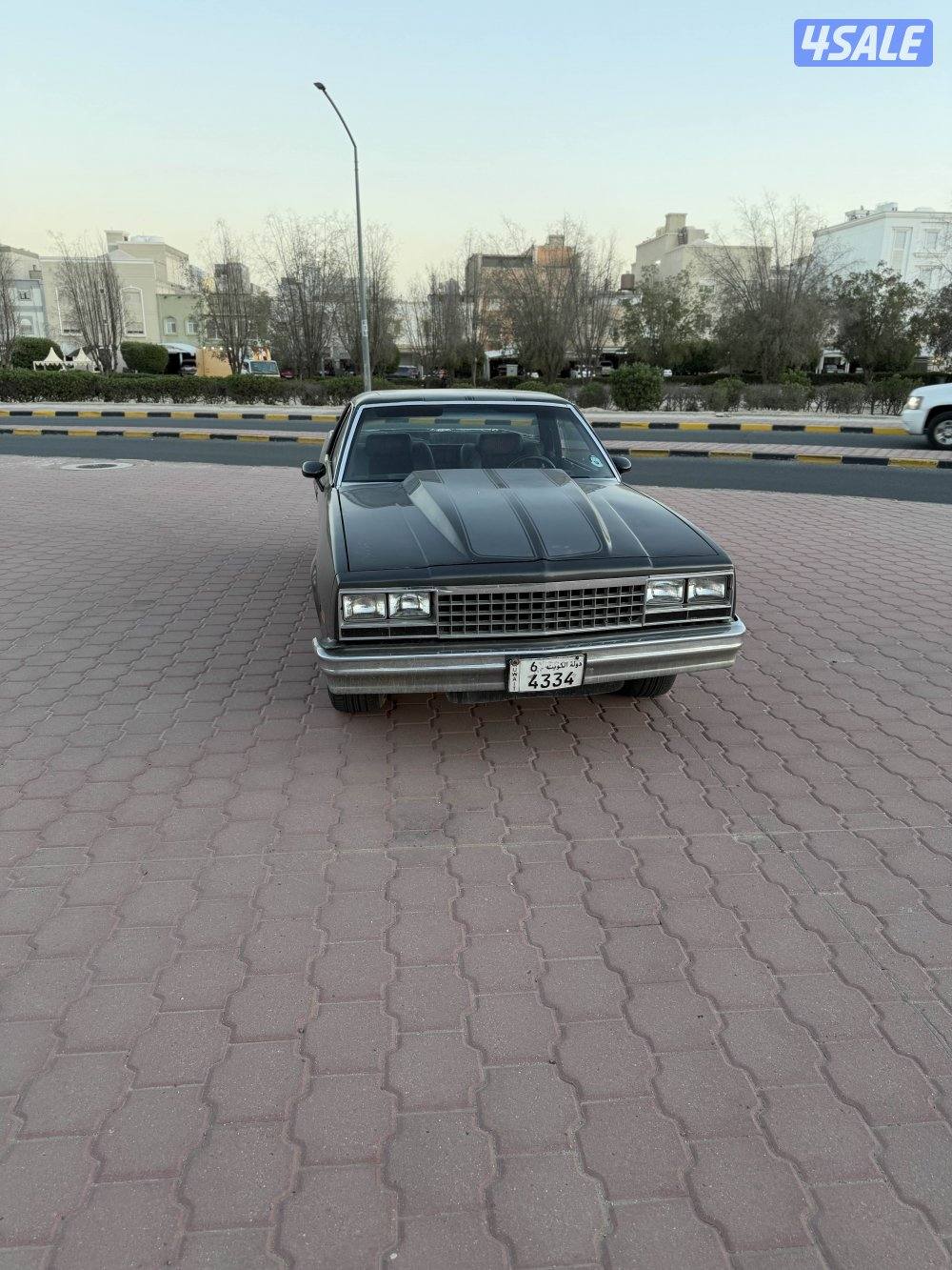 شفر الكامينو1