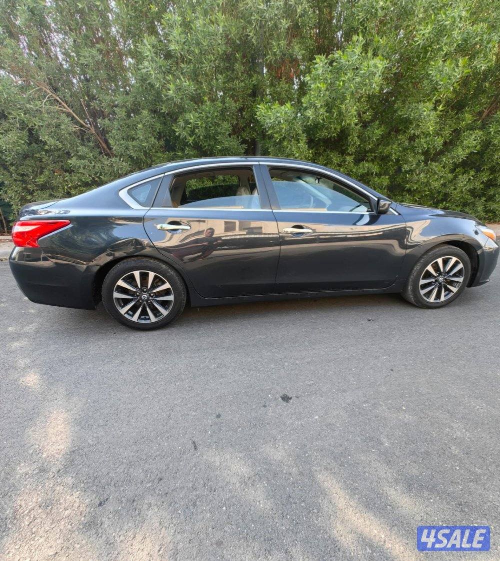 للبيع التيما 20171