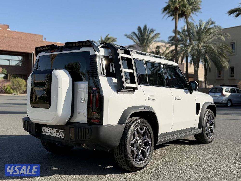 عداد 19 صبغ الوكاله3