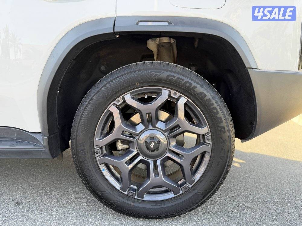 عداد 19 صبغ الوكاله8