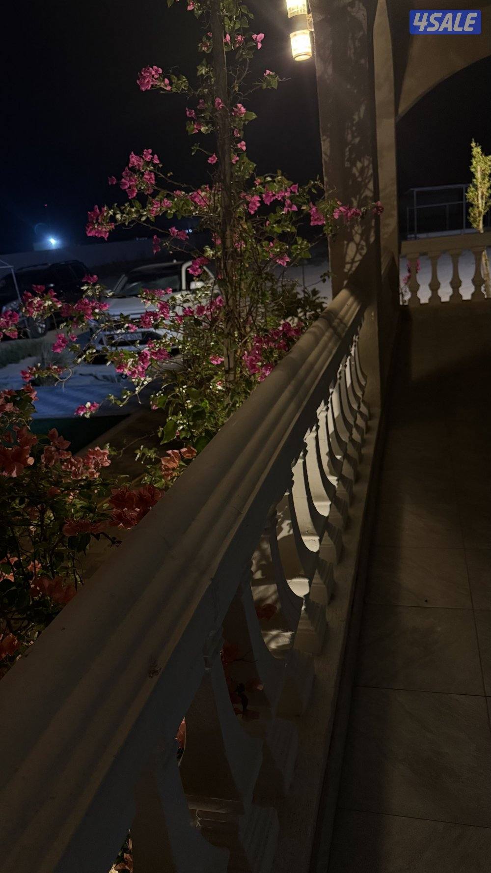 مزرعه للايجار مساحتها ١٢ الف على طريق٥٠٠13