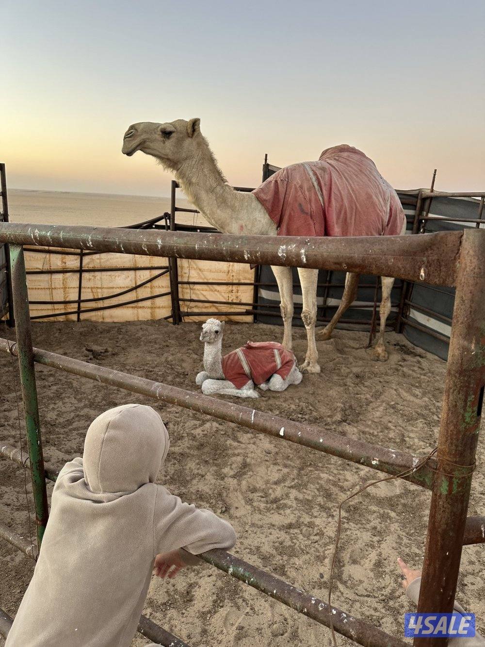 للبيع خلفه0