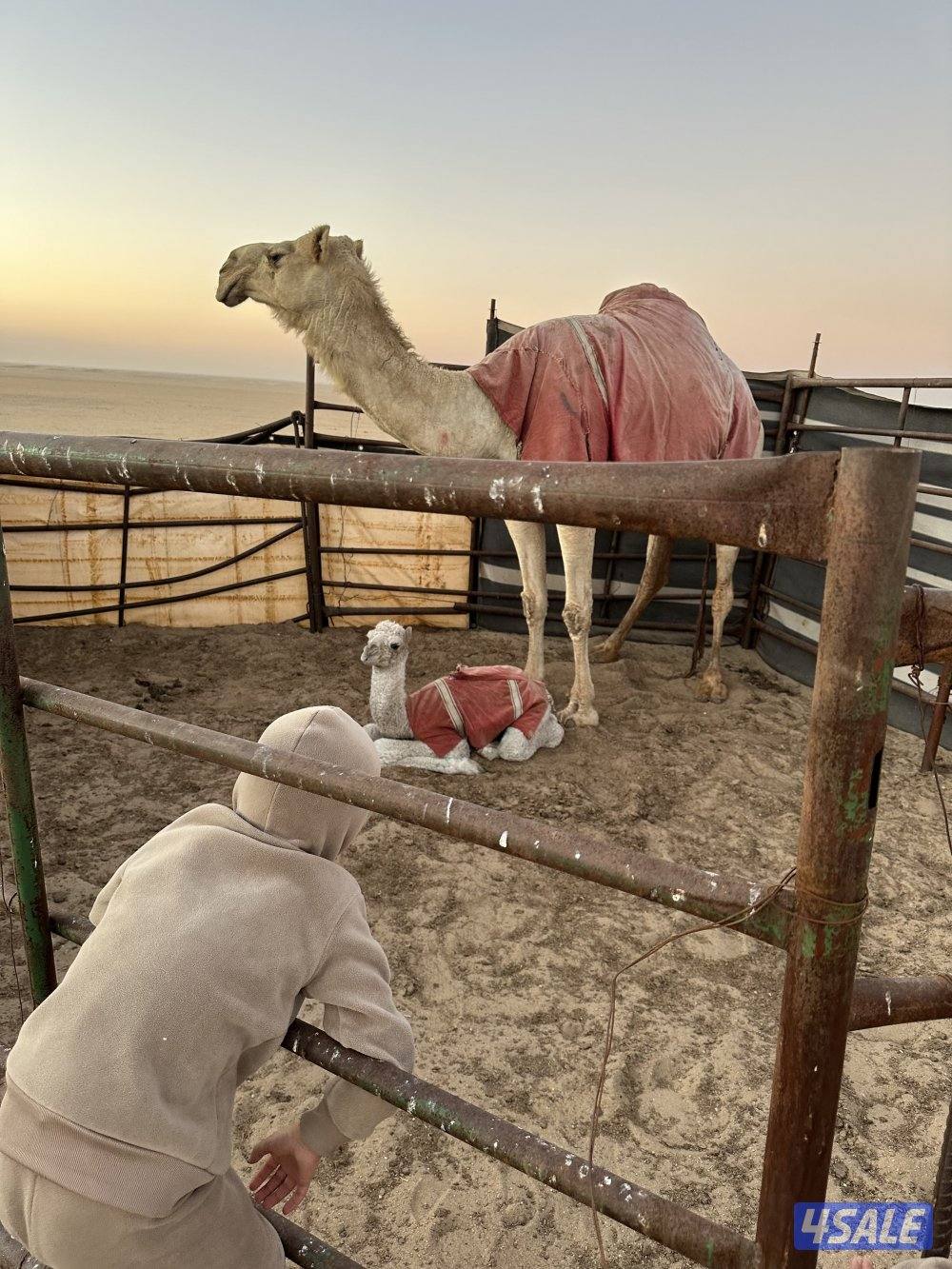 للبيع خلفه1