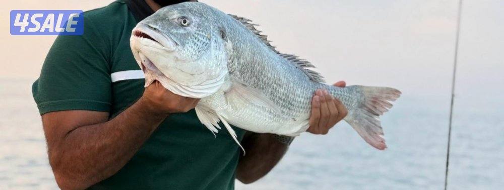 ‏‎نوخذه كويتي حداق جسر جابر والجون وتعليم الحداق والجق ولفاح9