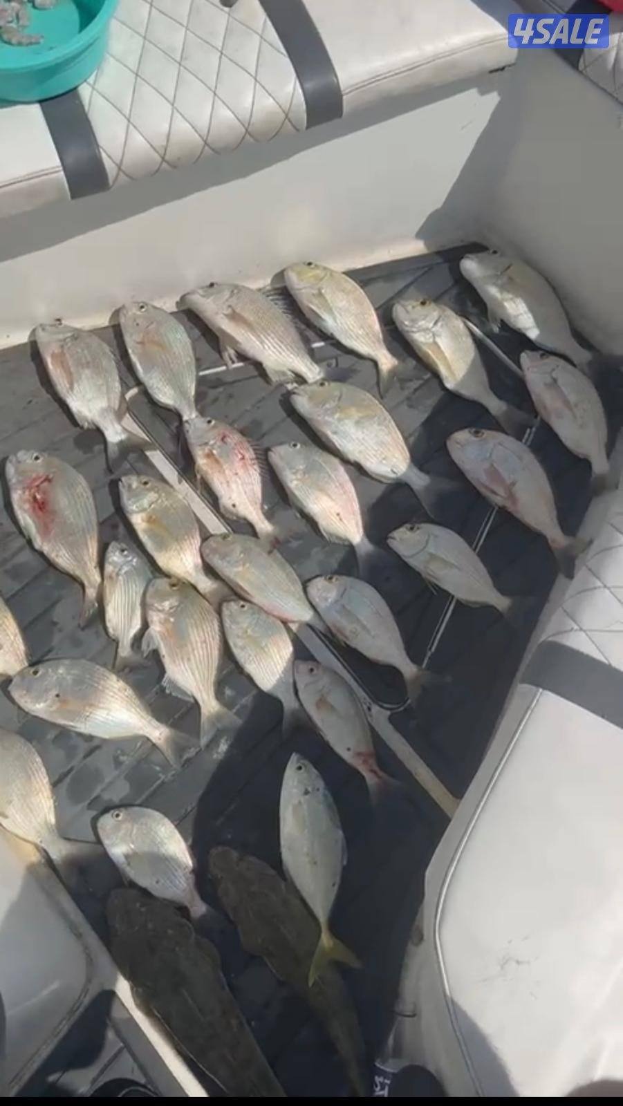 ‏‎نوخذه كويتي حداق جسر جابر والجون وتعليم الحداق والجق ولفاح8