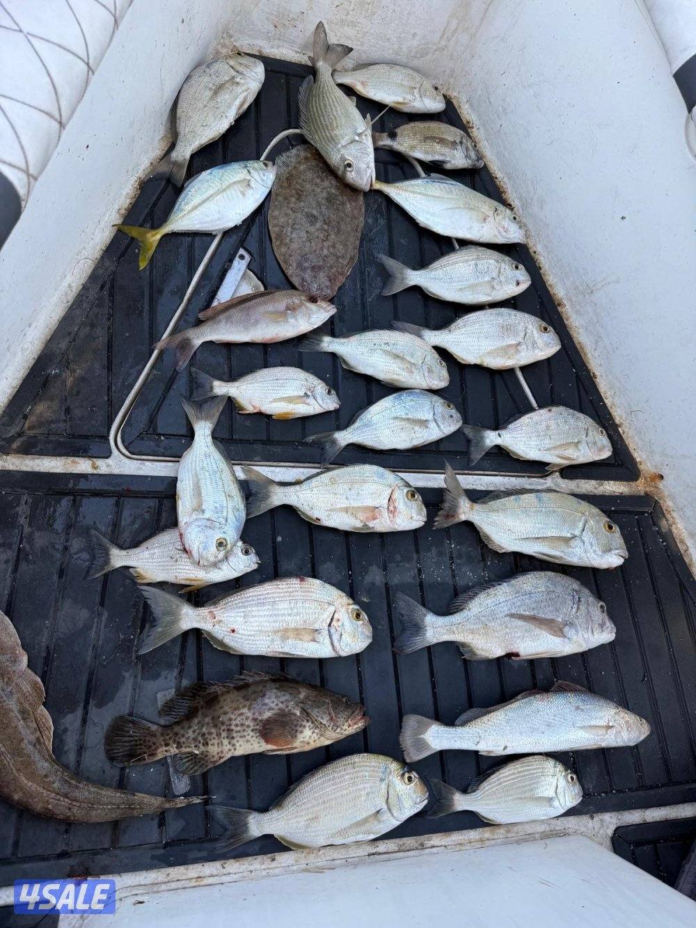 ‏‎نوخذه كويتي حداق جسر جابر والجون وتعليم الحداق والجق ولفاح9