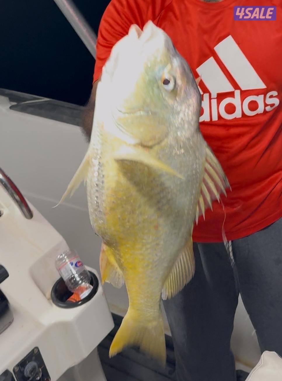 ‏‎نوخذه كويتي حداق جسر جابر والجون وتعليم الحداق والجق ولفاح10