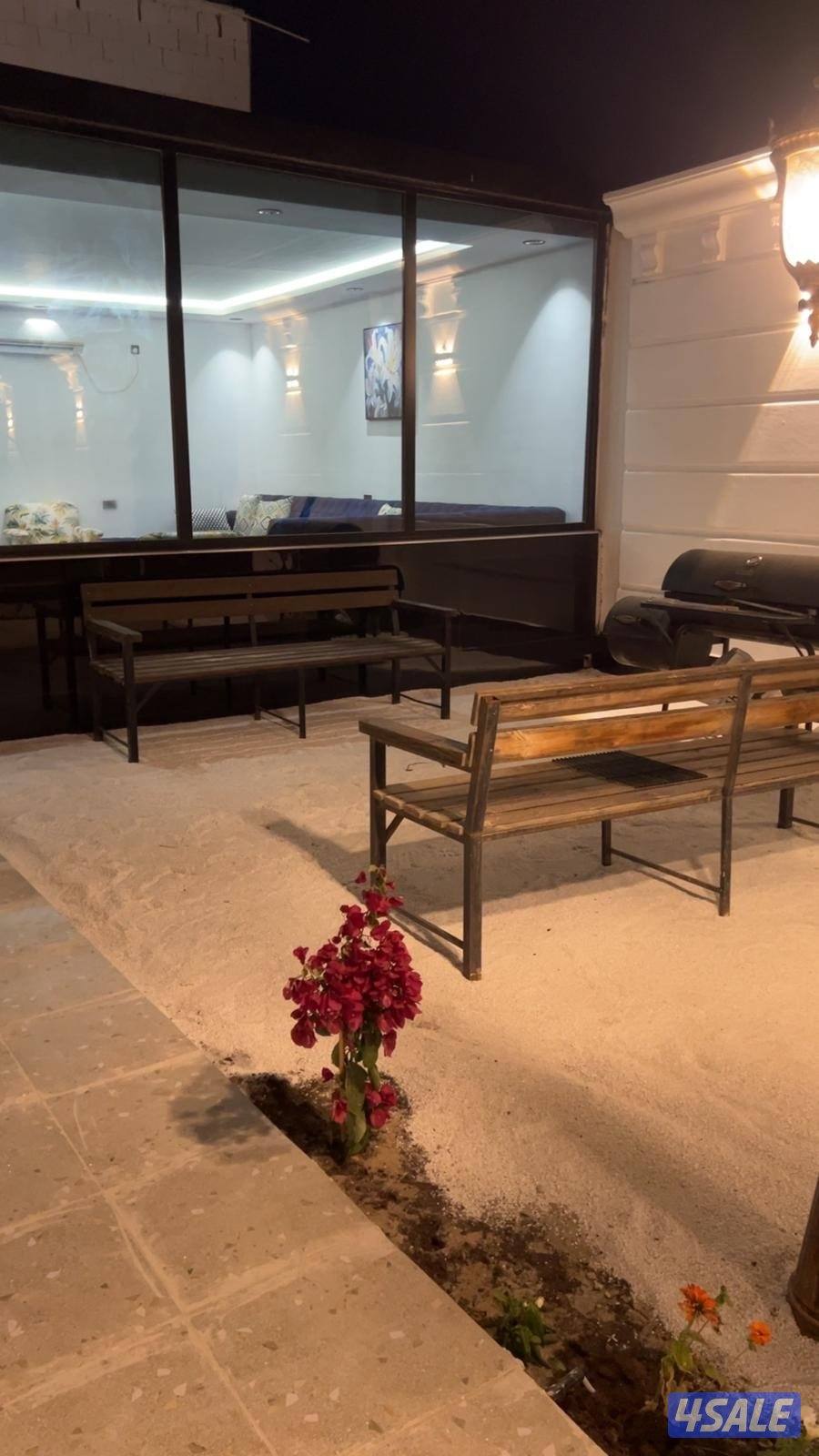 ايجار استراحه الهجن VVVIP3