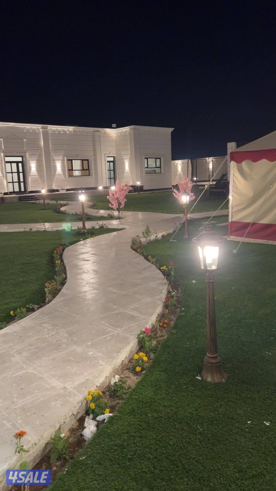 ايجار استراحه الهجن VVVIP5