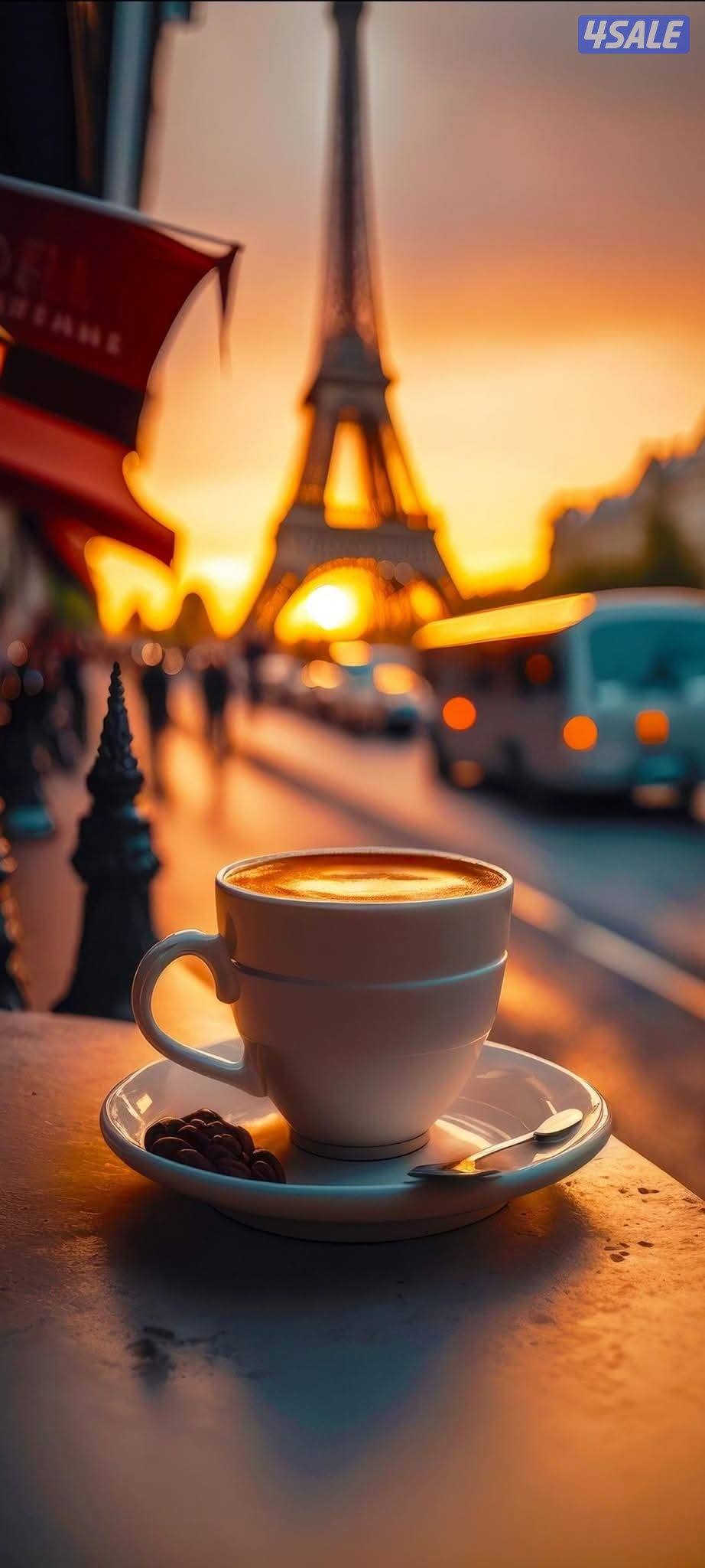 مطلوب مرافقه0