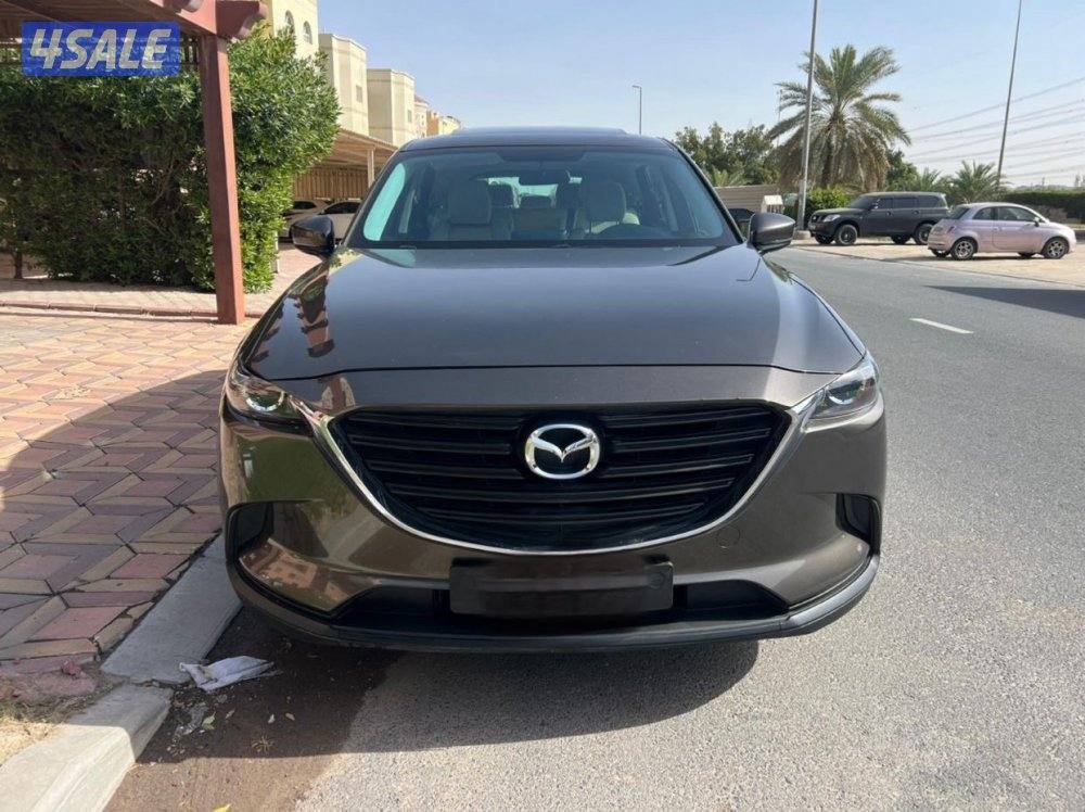 2022 صبغ الوكاله ماشي 444