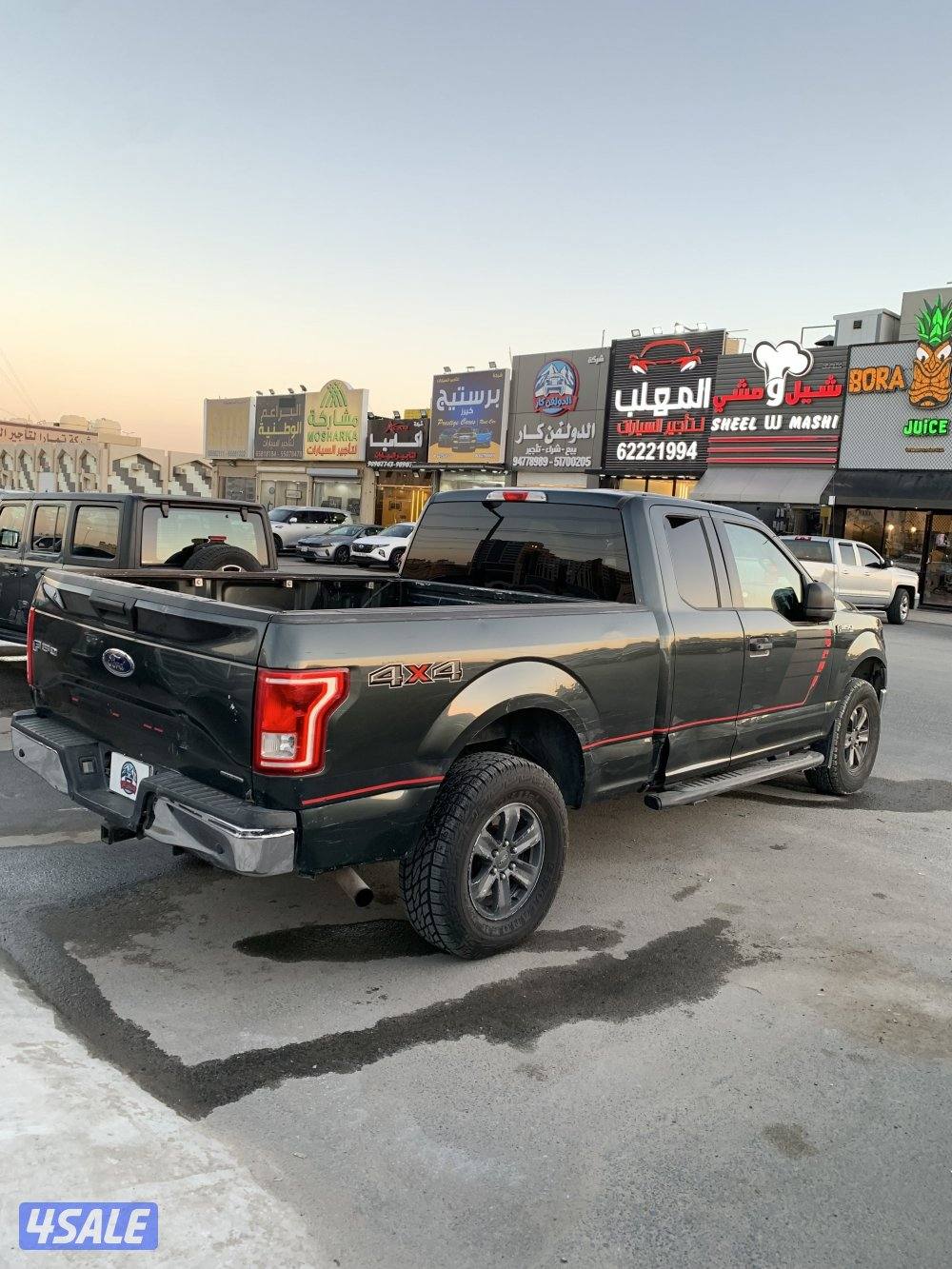 وانيت فورد F1504