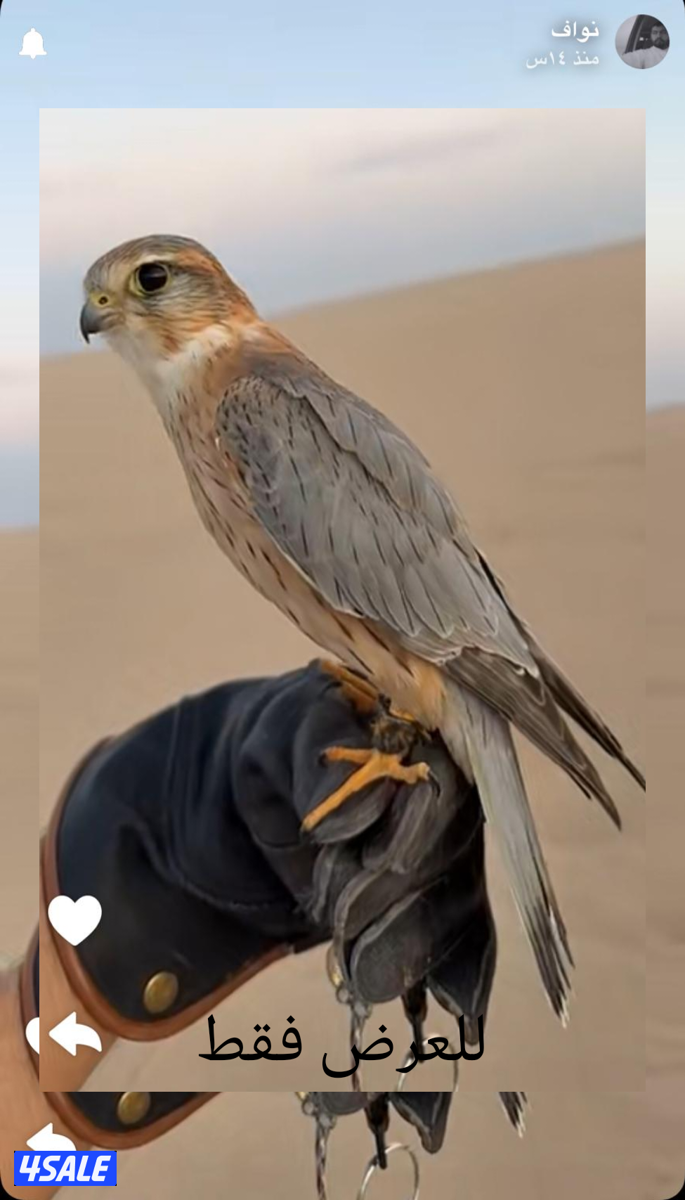 السلام عليكم ورحمة الله وبركاته0