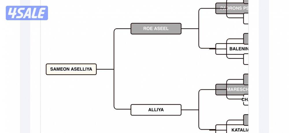 للبيع فرس مسجله1