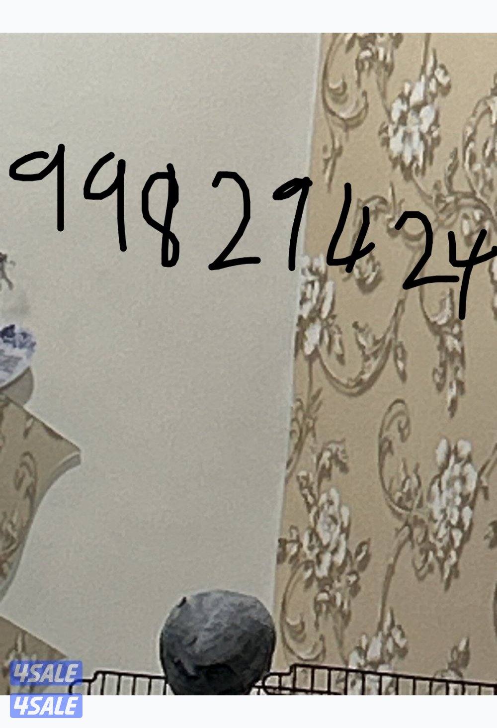 طير كاسكو بجابر الاحمد الرجاء من صاحب الطير الاتصال0