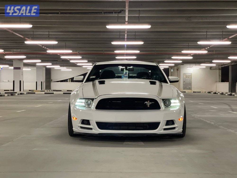 للبيع اغراض موستينج 5.00