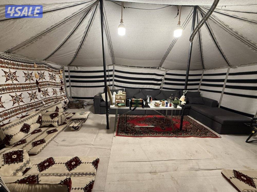 متوفره بكرا تاريخ ٣١0