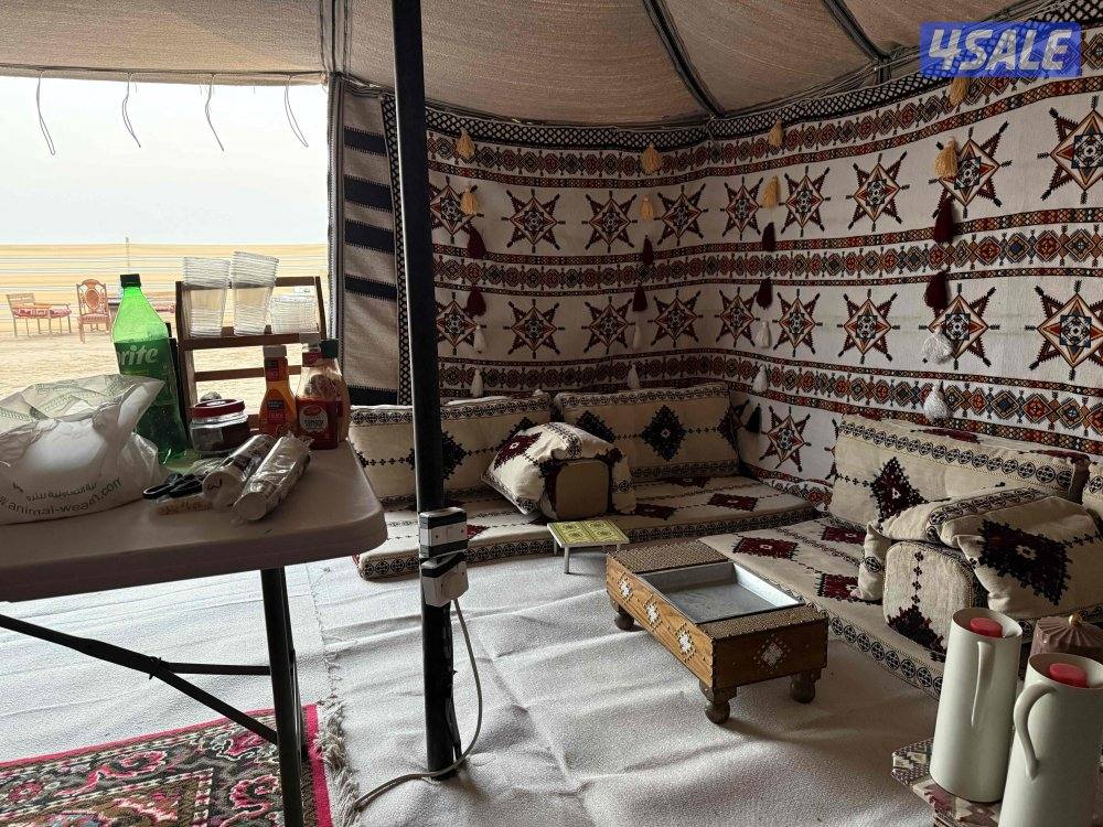 متوفره بكرا تاريخ ٣١3