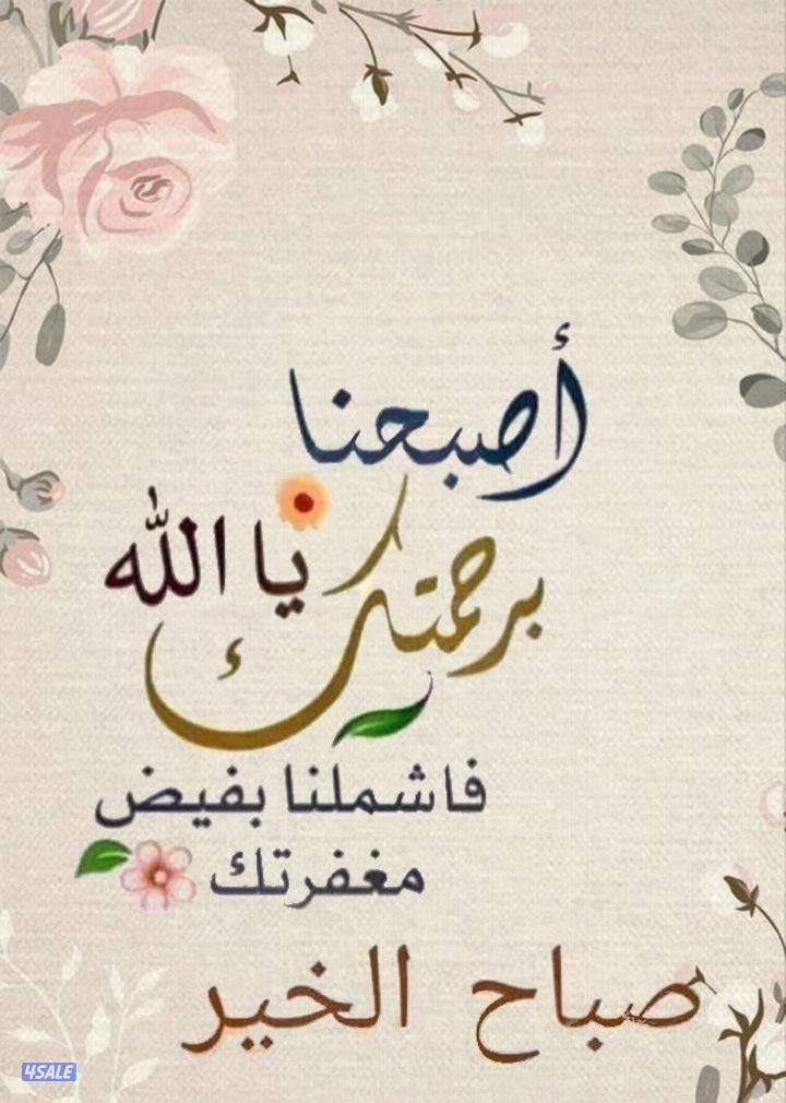 للبيع خط مميز جديد لم يستخدم وسهل الحفظ vip1