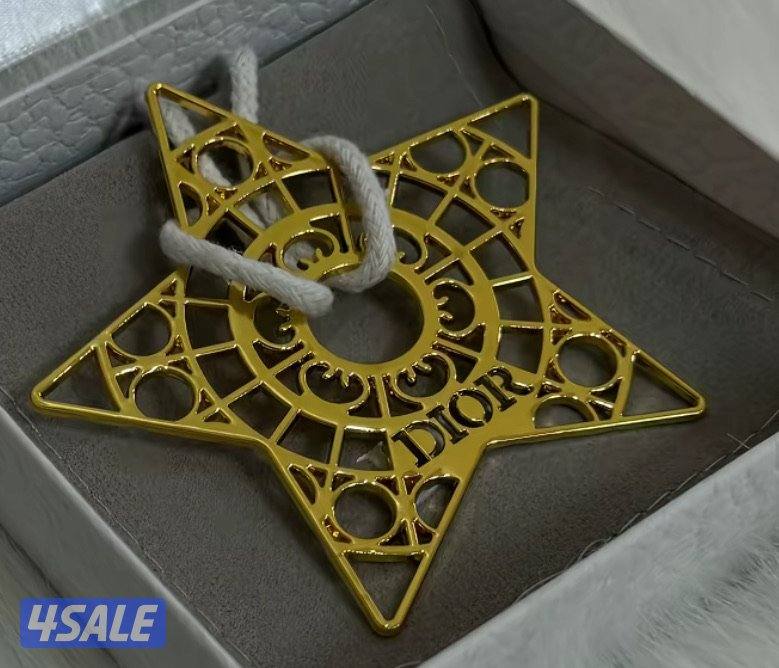 ميداليه لوروبيانا ونجمه ديور14