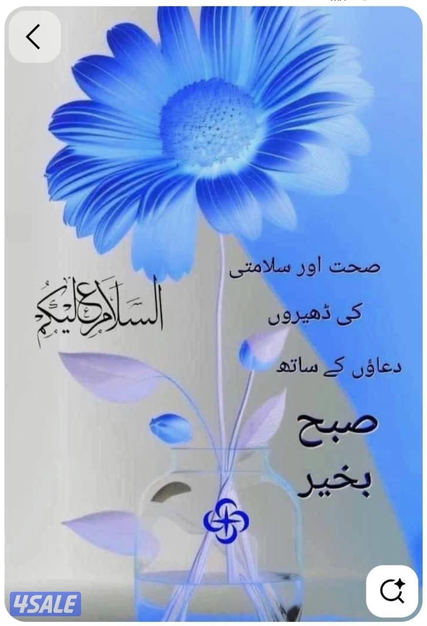 شاب تشادي ابحث عن عمل حارس0