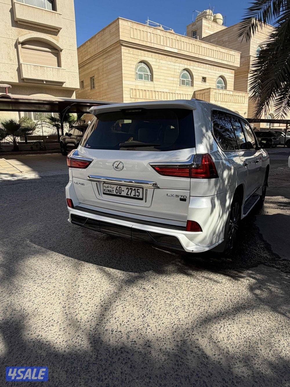 صبغ وكاله شرط الفحص2