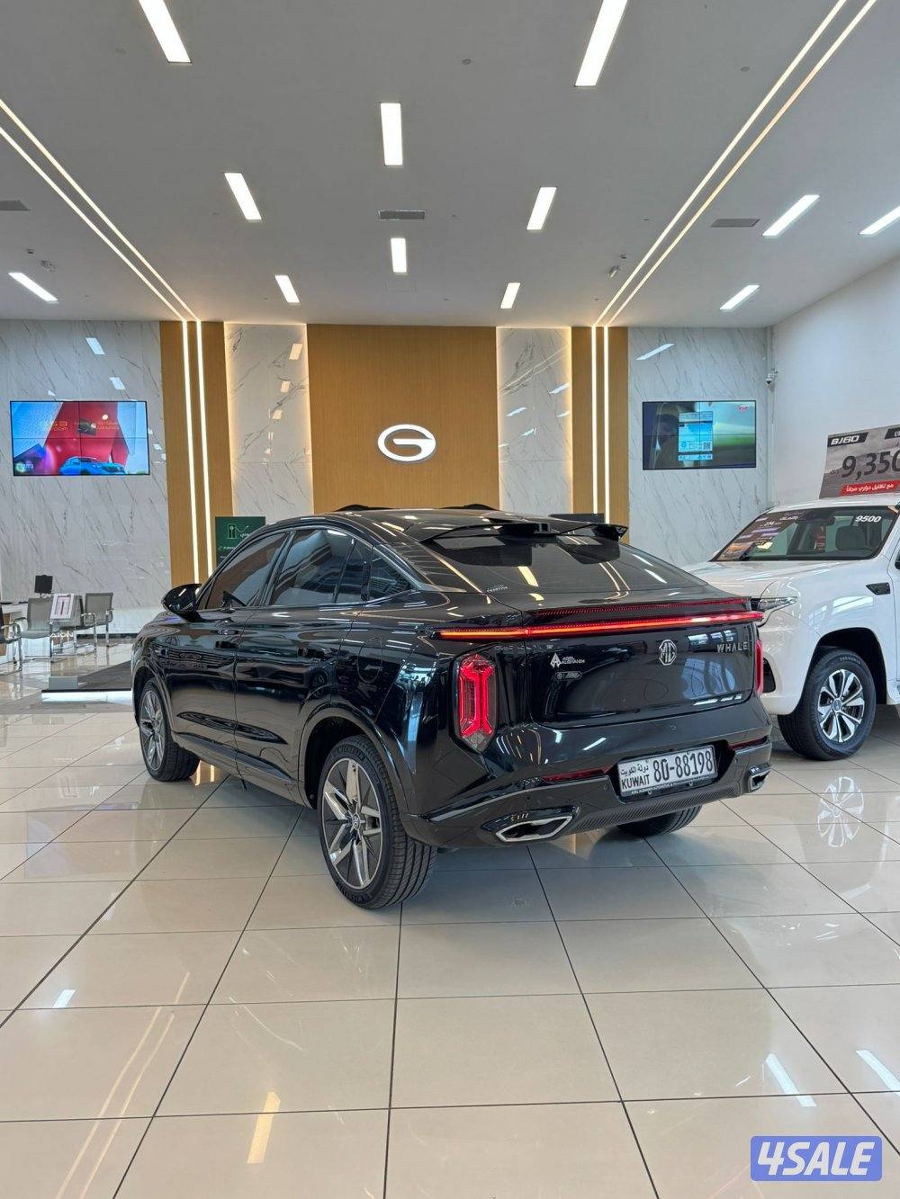 المطوع والقاضي3