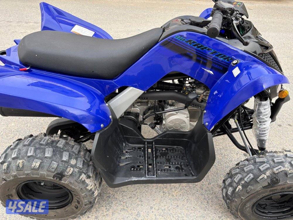 Yamaha Raptor 1101