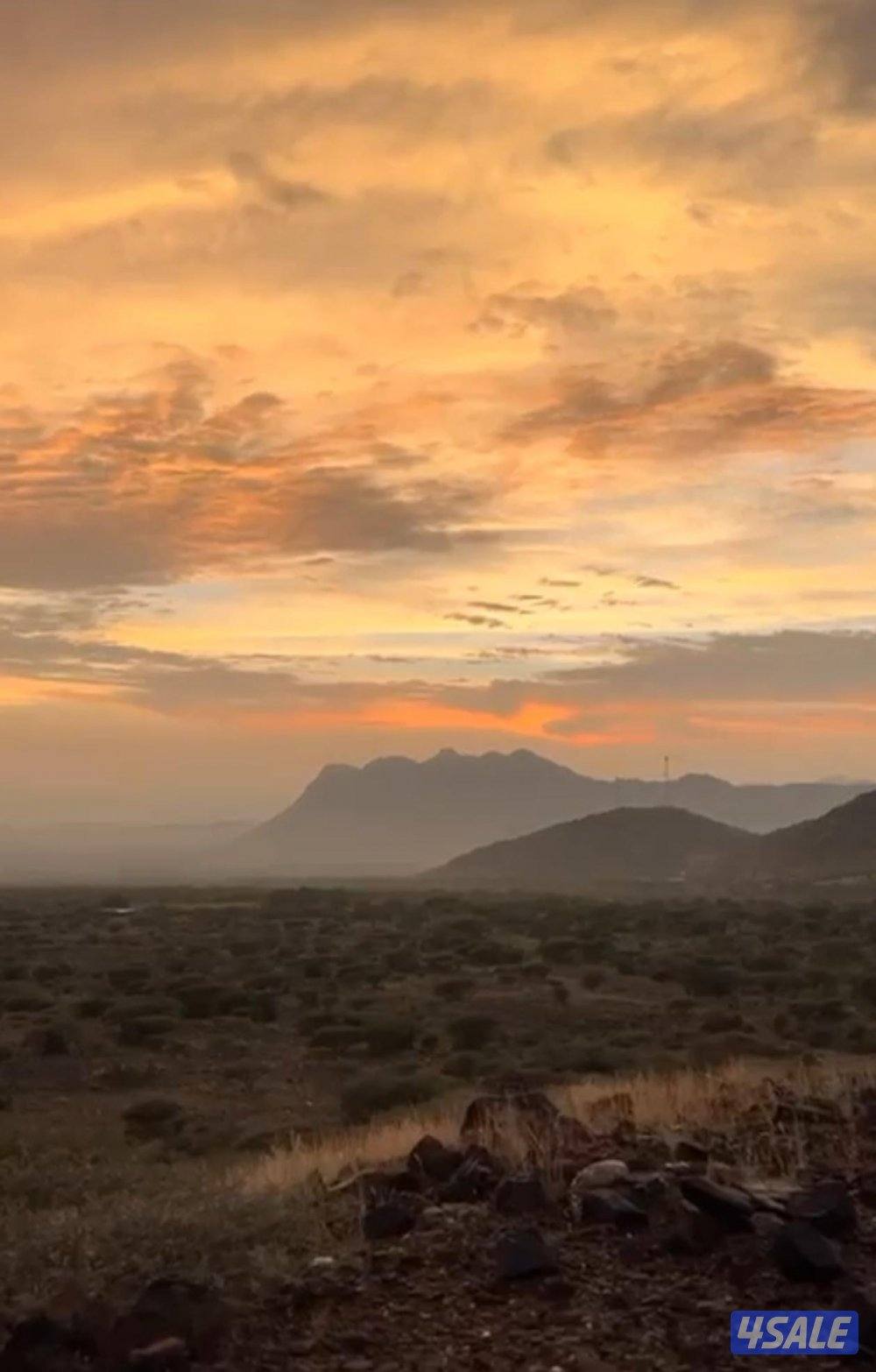 " للكويتيين" للإيجار شقة في صباح الناصر0