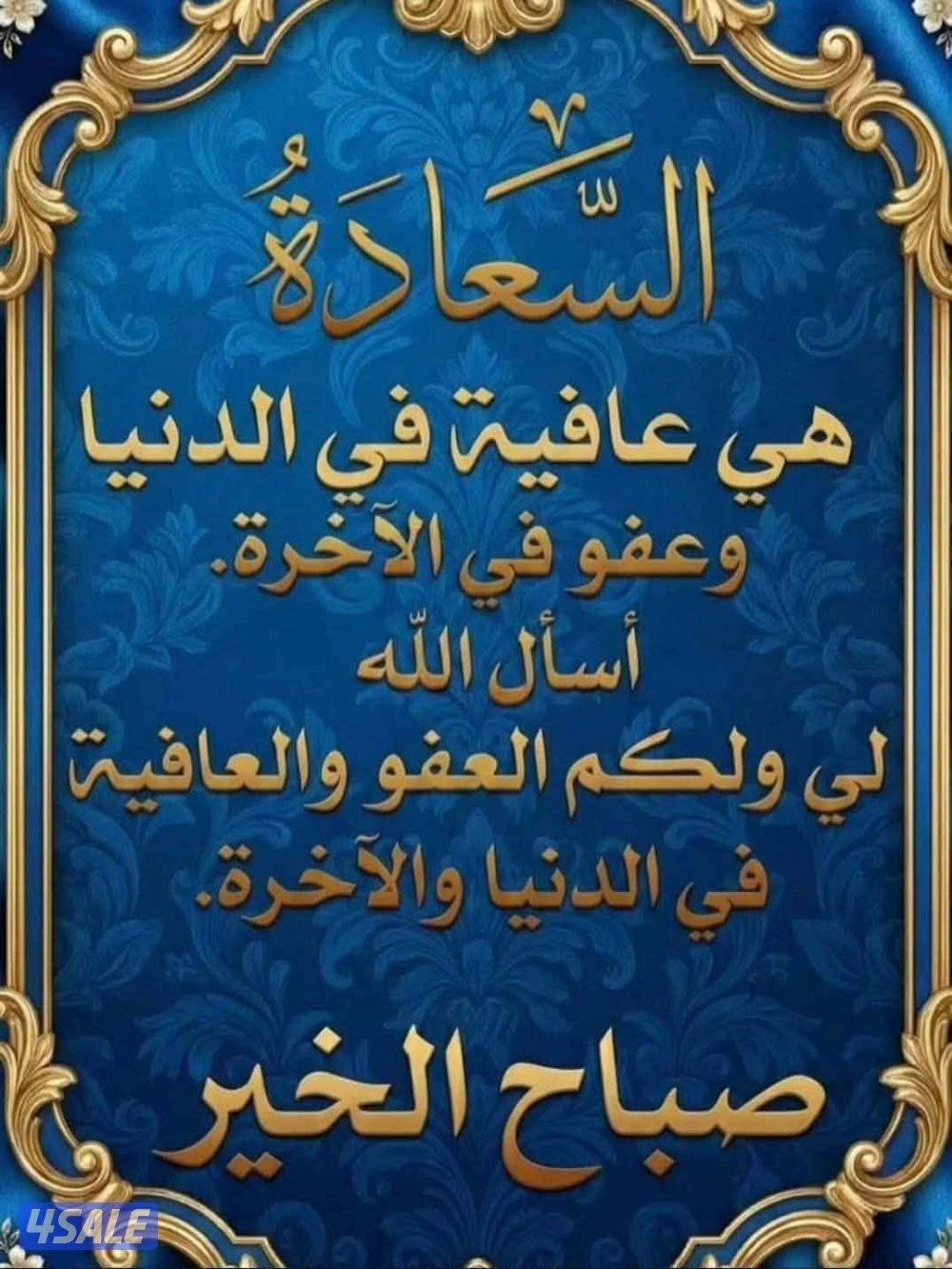 أمن وحراسه0