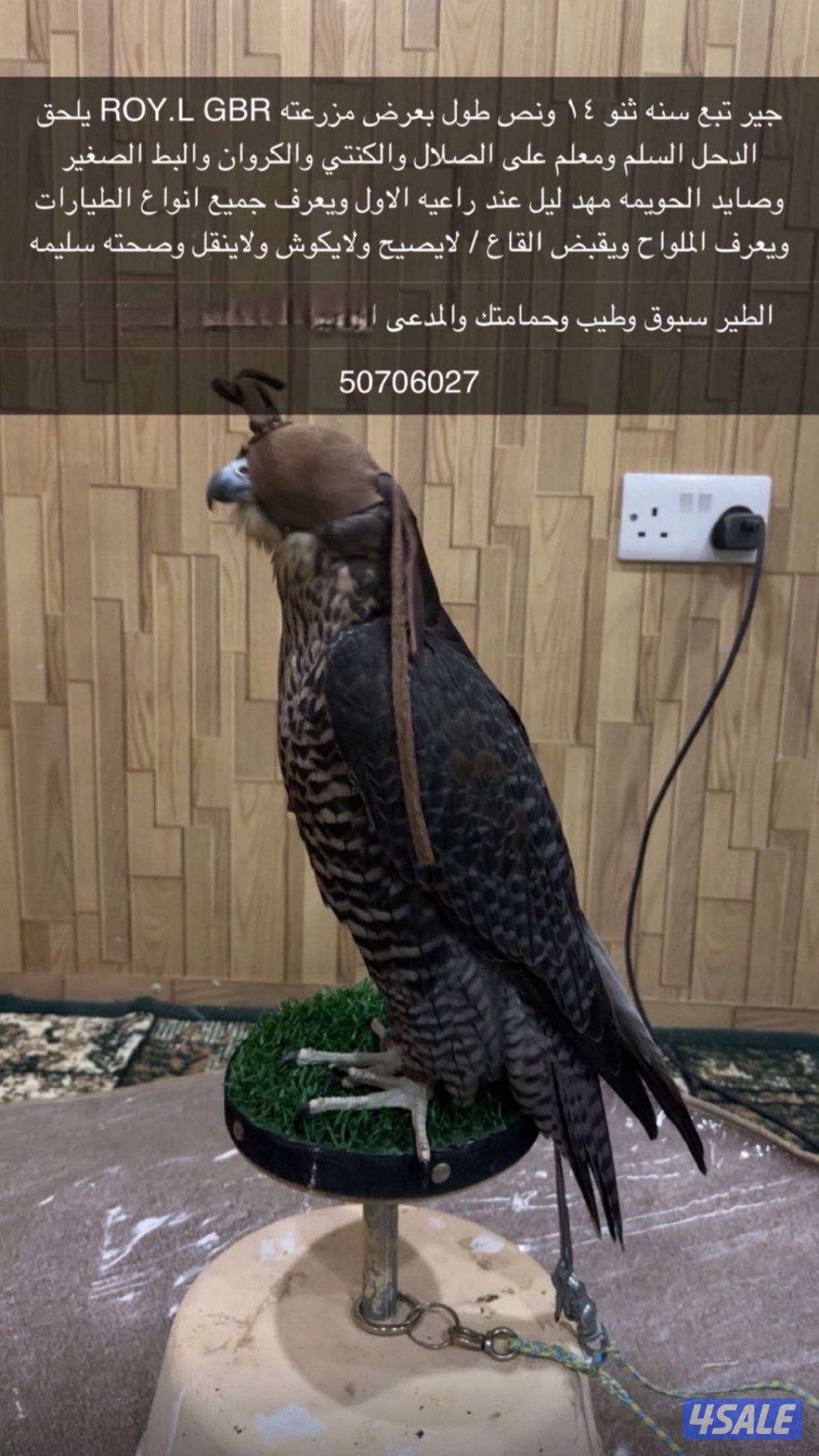 للبيع جير تبع ثنو0