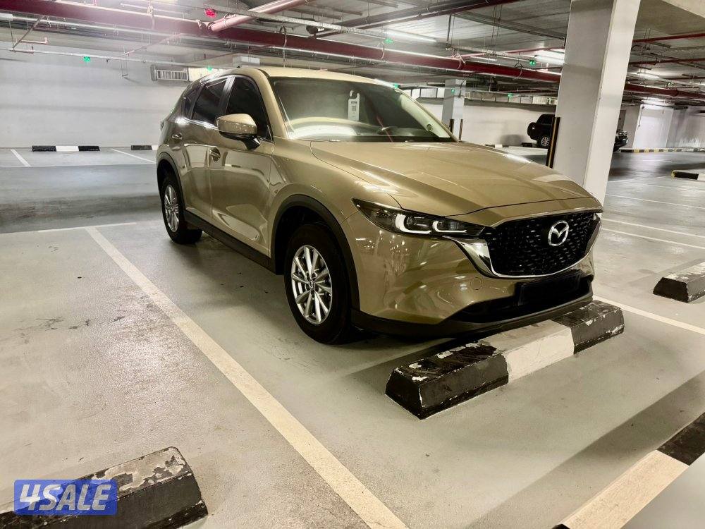 2024 ماشي 20 على الكفاله تضليل حراري حماية بدي2