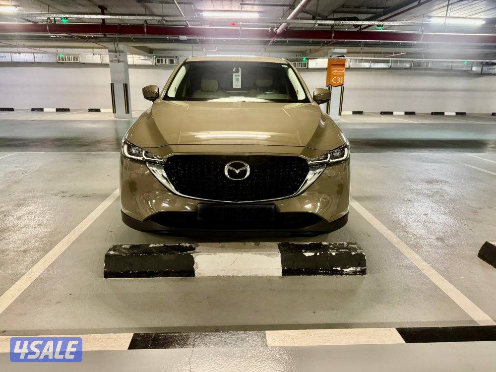 2024 ماشي 20 على الكفاله تضليل حراري حماية بدي3